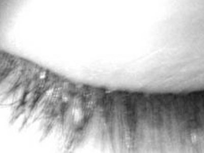 Σκέφτομαι τους γονείς